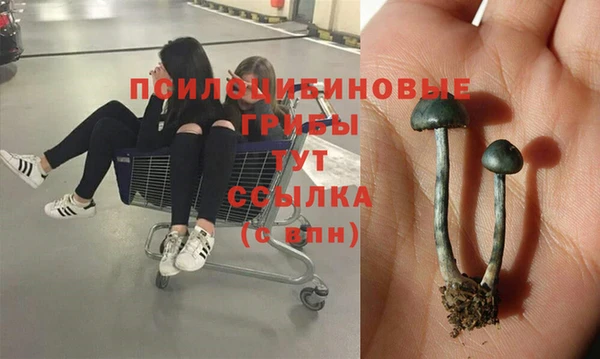 марки lsd Алексеевка