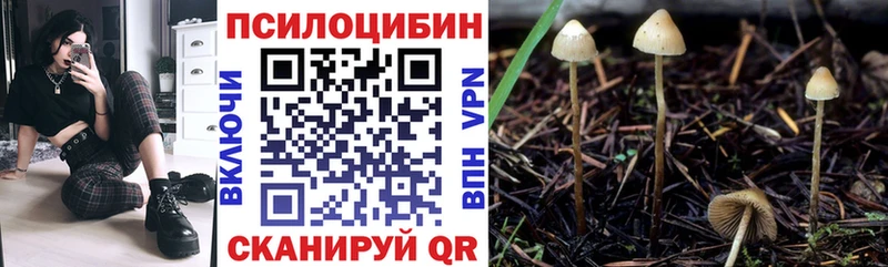 Галлюциногенные грибы Magic Shrooms где купить наркоту Серов